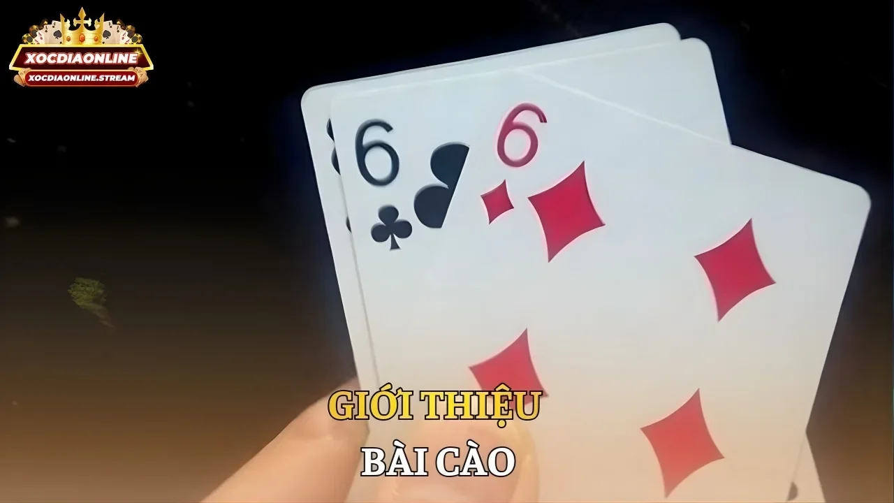 Giới thiệu bài cào