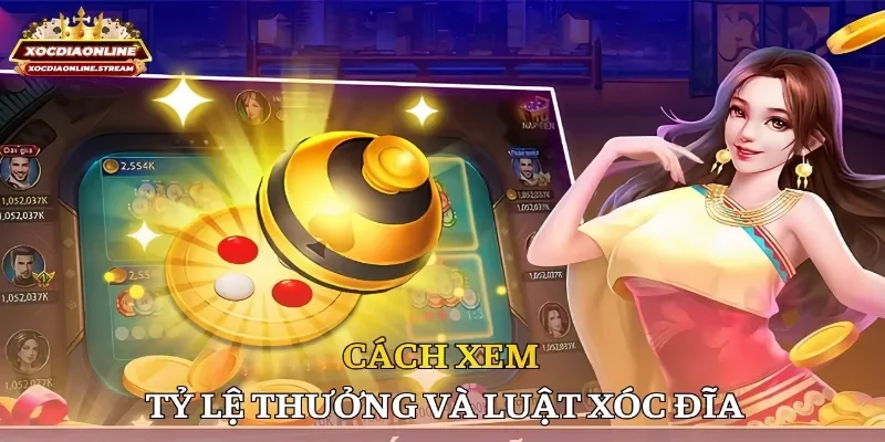 Cách xem tỷ lệ thưởng và luật xóc đĩa